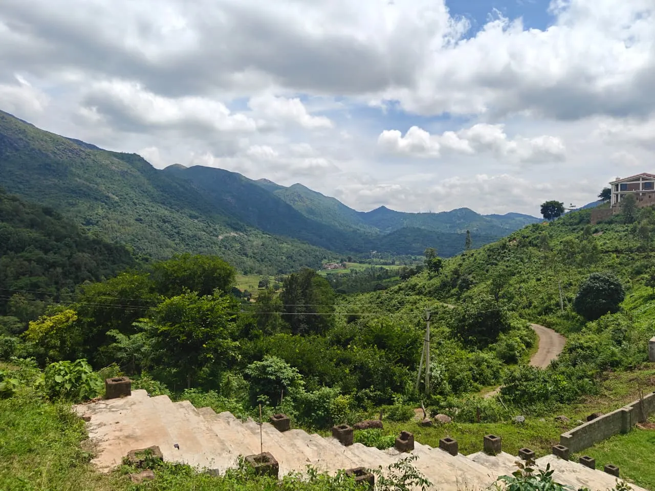 Green valley and winding road near Vistara Resort